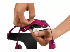 Ruffwear Geschirr Front Range XS, Hibiscus Pink -Hundewelt Verkäufe 201364496 xxl