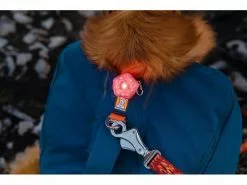 Ruffwear Rucksack Front Range S, Blue Moon 15 Ruffwear Rucksack Front Range S, Blue Moon -Hundewelt Verkäufe 201378353 xxl 1