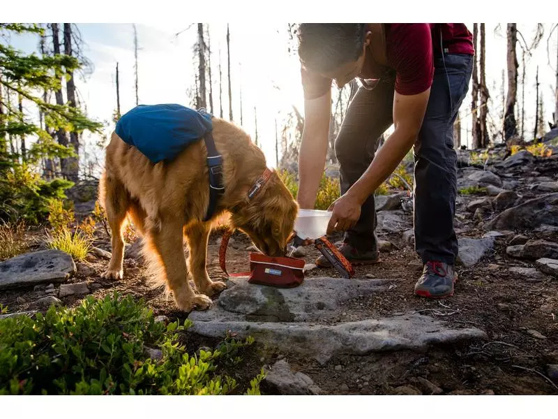 Ruffwear Rucksack Front Range S, Blue Moon 8 Ruffwear Rucksack Front Range S, Blue Moon - Image 8