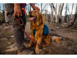 Ruffwear Rucksack Front Range S, Blue Moon 17 Ruffwear Rucksack Front Range S, Blue Moon -Hundewelt Verkäufe 201378366 xxl 1