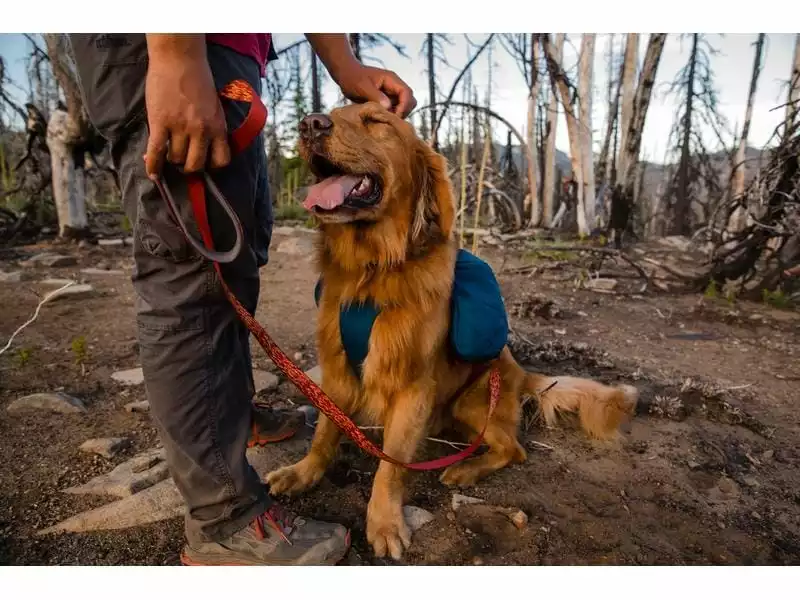 Ruffwear Rucksack Front Range S, Blue Moon 9 Ruffwear Rucksack Front Range S, Blue Moon - Image 9