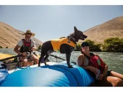 Ruffwear Schwimmweste Float Coat S, Wave Orange 11 Ruffwear Schwimmweste Float Coat S, Wave Orange -Hundewelt Verkäufe 202638854 xxl