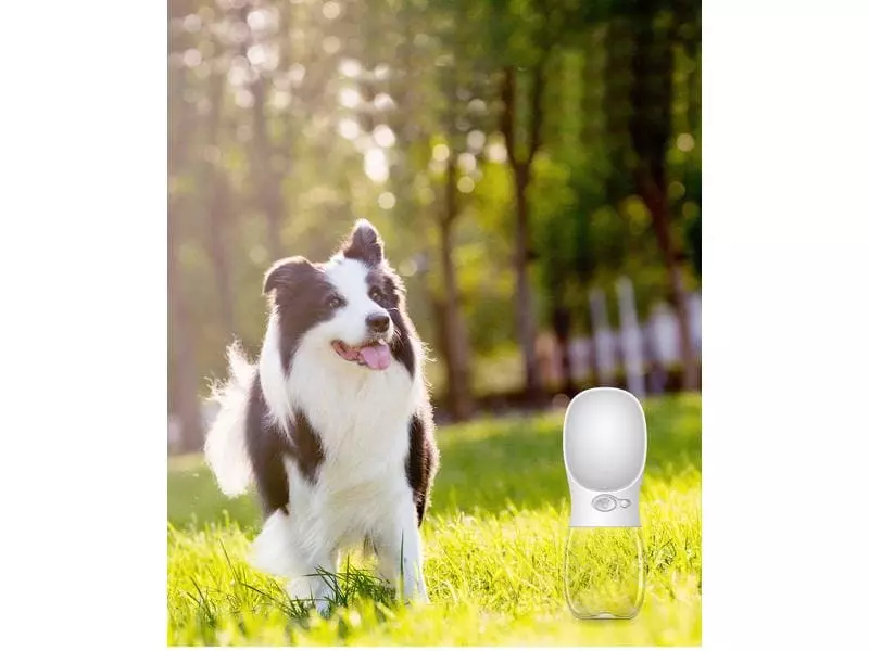 FTM Trinkflasche Blau, 350 ml 2 FTM Trinkflasche Blau, 350 ml - Image 2