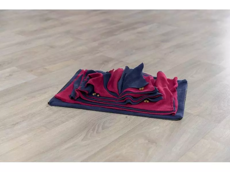 Trixie Schnüffelbuch 50 × 34 cm, Blau/Rot 2 Trixie Schnüffelbuch 50 × 34 cm, Blau/Rot - Image 2