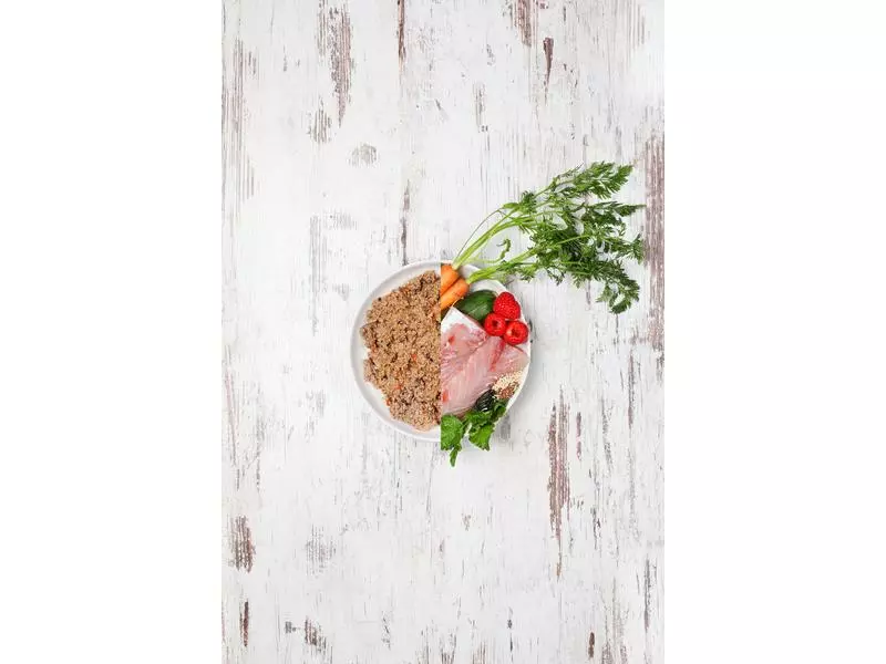 Dog's Love Nassfutter Adult Fisch, 400 g 3 Dog's Love Nassfutter Adult Fisch, 400 g - Image 3