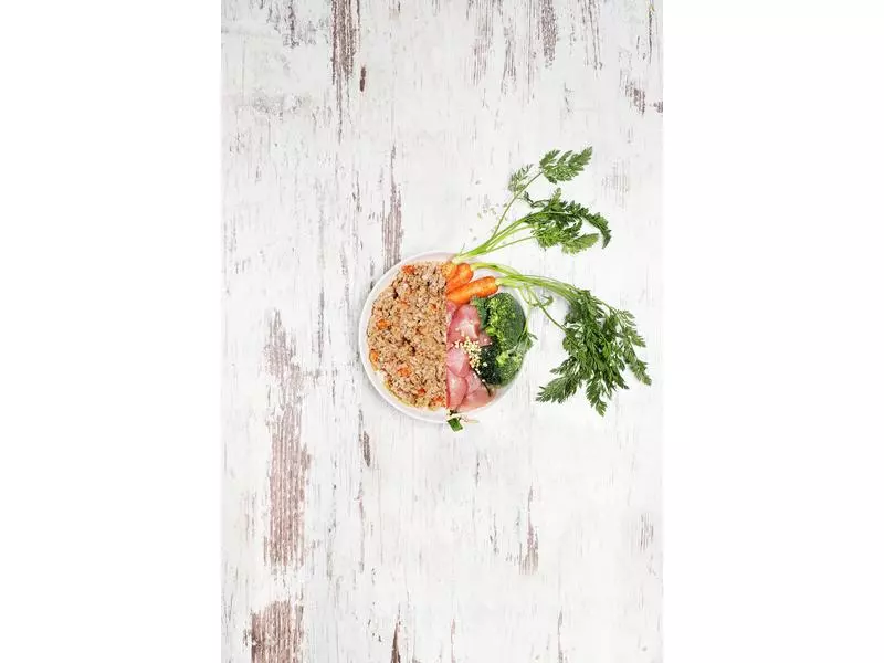 Dog's Love Nassfutter BIO Adult Huhn, 200 g 3 Dog's Love Nassfutter BIO Adult Huhn, 200 g - Image 3