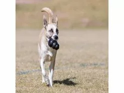 Kong Hunde-Spielzeug Classic Extreme L Ø 7 cm, Schwarz 9 Kong Hunde-Spielzeug Classic Extreme L Ø 7 cm, Schwarz -Hundewelt Verkäufe 211011374 xxl 2