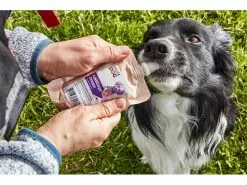 NaturaDog Leckerli Lieblingscreme Lachs, Multipack, 5 x 100 g 7 NaturaDog Leckerli Lieblingscreme Lachs, Multipack, 5 x 100 g -Hundewelt Verkäufe 212335577 xxl