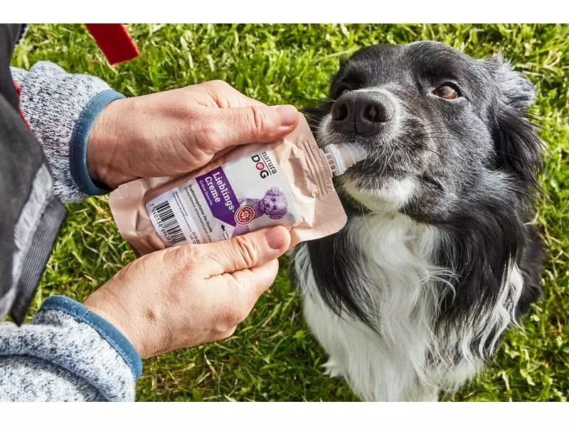 NaturaDog Leckerli Lieblingscreme Lachs, Multipack, 5 x 100 g 4 NaturaDog Leckerli Lieblingscreme Lachs, Multipack, 5 x 100 g - Image 4