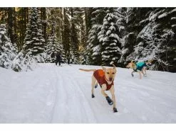 Ruffwear Wintermantel Vert, M, Aurora Teal 28 Ruffwear Wintermantel Vert, M, Aurora Teal -Hundewelt Verkäufe 212400175 xxl