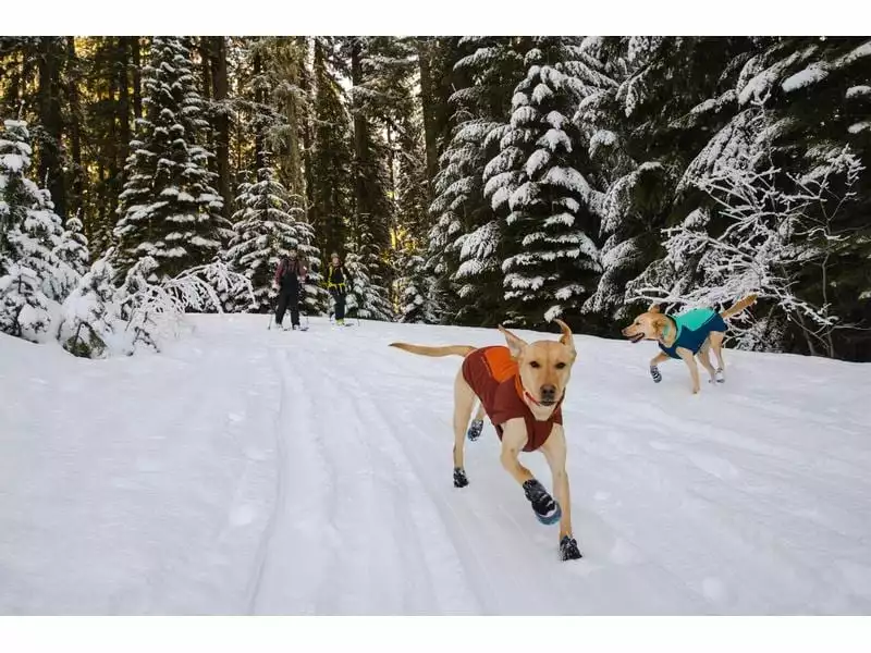 Ruffwear Wintermantel Vert, M, Aurora Teal 14 Ruffwear Wintermantel Vert, M, Aurora Teal - Image 14