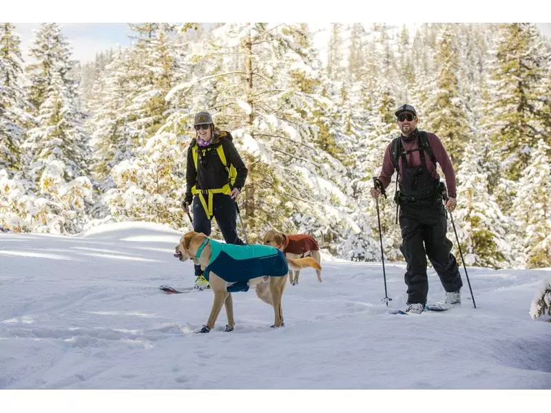 Ruffwear Wintermantel Vert, M, Aurora Teal 13 Ruffwear Wintermantel Vert, M, Aurora Teal - Image 13