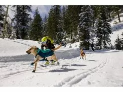 Ruffwear Wintermantel Vert, M, Aurora Teal 29 Ruffwear Wintermantel Vert, M, Aurora Teal -Hundewelt Verkäufe 212400194 xxl