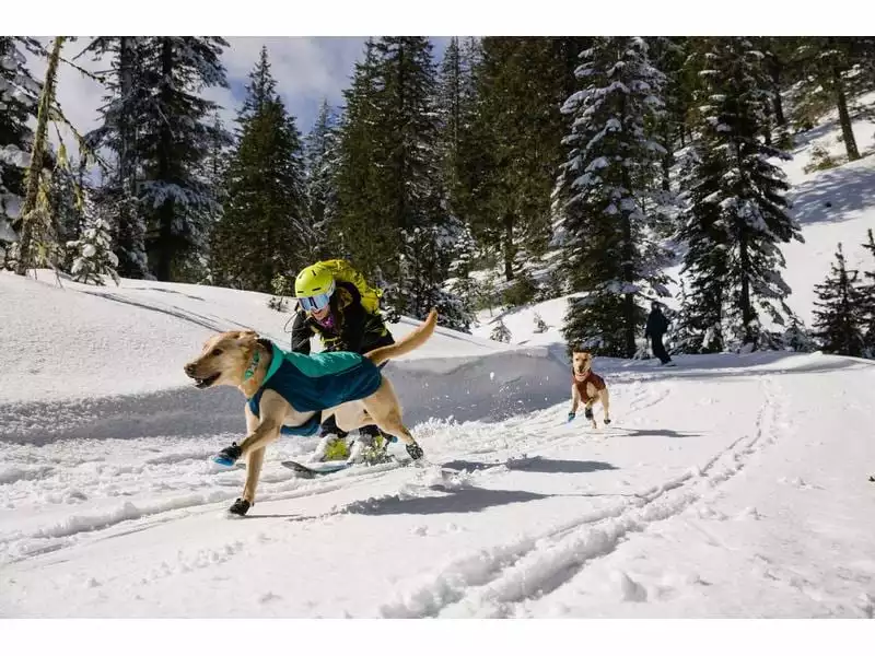 Ruffwear Wintermantel Vert, M, Aurora Teal 15 Ruffwear Wintermantel Vert, M, Aurora Teal - Image 15