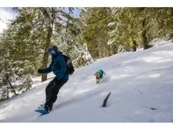 Ruffwear Wintermantel Vert, M, Aurora Teal 25 Ruffwear Wintermantel Vert, M, Aurora Teal -Hundewelt Verkäufe 212400672 xxl