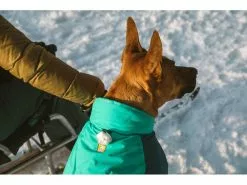 Ruffwear Wintermantel Vert, M, Aurora Teal 26 Ruffwear Wintermantel Vert, M, Aurora Teal -Hundewelt Verkäufe 212400686 xxl