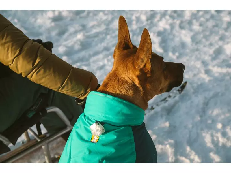 Ruffwear Wintermantel Vert, M, Aurora Teal 12 Ruffwear Wintermantel Vert, M, Aurora Teal - Image 12