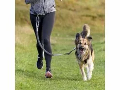 Trixie Joggingleine Bauchgurt mit Leine M, Grafit-Schwarz 7 Trixie Joggingleine Bauchgurt mit Leine M, Grafit-Schwarz -Hundewelt Verkäufe 212413463 xxl