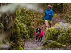 Ruffwear Regenmantel Sun Shower, S, Hibiscus Pink 26 Ruffwear Regenmantel Sun Shower, S, Hibiscus Pink -Hundewelt Verkäufe 212415597 xxl