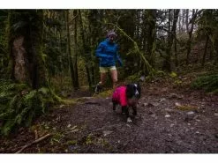 Ruffwear Regenmantel Sun Shower, S, Hibiscus Pink 27 Ruffwear Regenmantel Sun Shower, S, Hibiscus Pink -Hundewelt Verkäufe 212415599 xxl