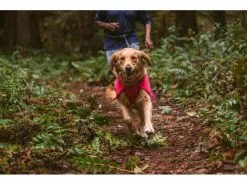 Ruffwear Regenmantel Sun Shower, S, Hibiscus Pink 28 Ruffwear Regenmantel Sun Shower, S, Hibiscus Pink -Hundewelt Verkäufe 212415602 xxl