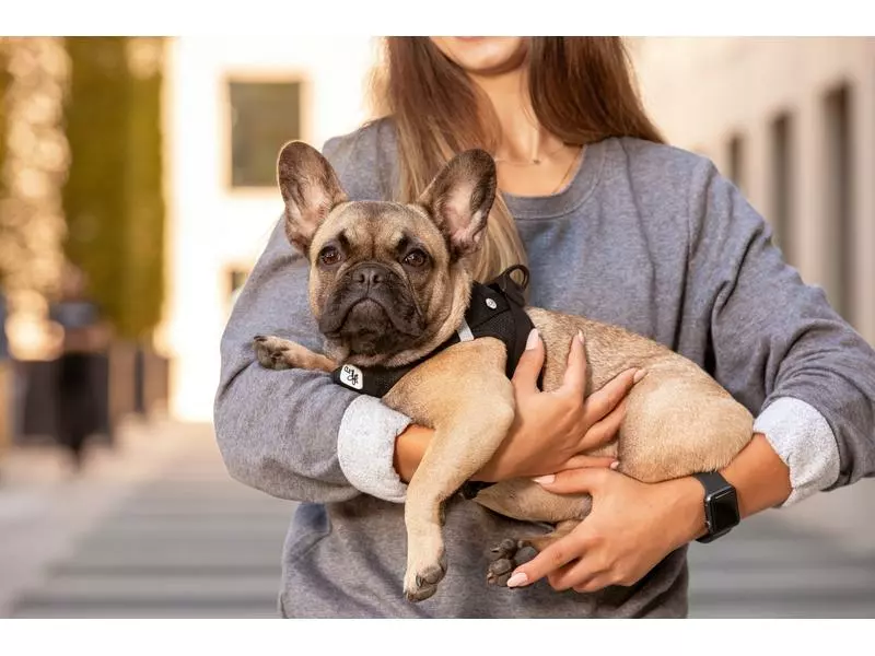 Curli Geschirr Vest Air-Mesh S, Moss 4 Curli Geschirr Vest Air-Mesh S, Moss - Image 4