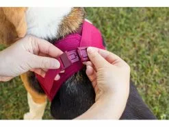 Curli Geschirr Vest Air-Mesh L, Fuchsia 13 Curli Geschirr Vest Air-Mesh L, Fuchsia -Hundewelt Verkäufe 213088776 xxl 7