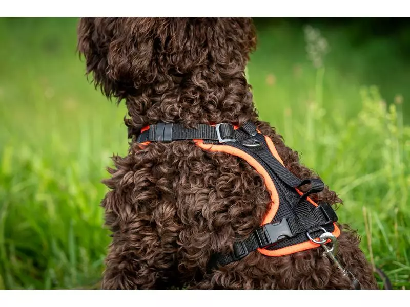 Grossenbacher Geschirr Vary, Bordeaux 3 Grossenbacher Geschirr Vary, Bordeaux - Image 3