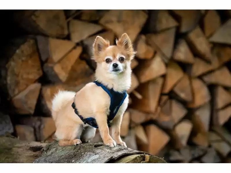 Grossenbacher Geschirr Vary, Türkis 6 Grossenbacher Geschirr Vary, Türkis - Image 6