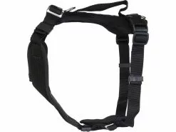 Grossenbacher Welpengeschirr Popp-it, Schwarz