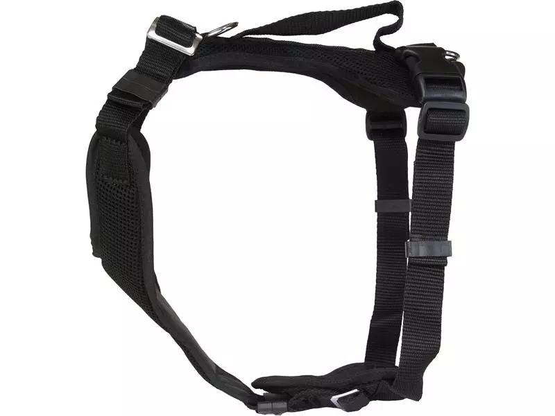 Grossenbacher Welpengeschirr Popp-it, Schwarz 1 Grossenbacher Welpengeschirr Popp-it, Schwarz