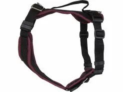 Grossenbacher Welpengeschirr Popp-it, Bordeaux