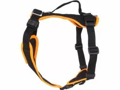 Grossenbacher Welpengeschirr Popp-it, Orange