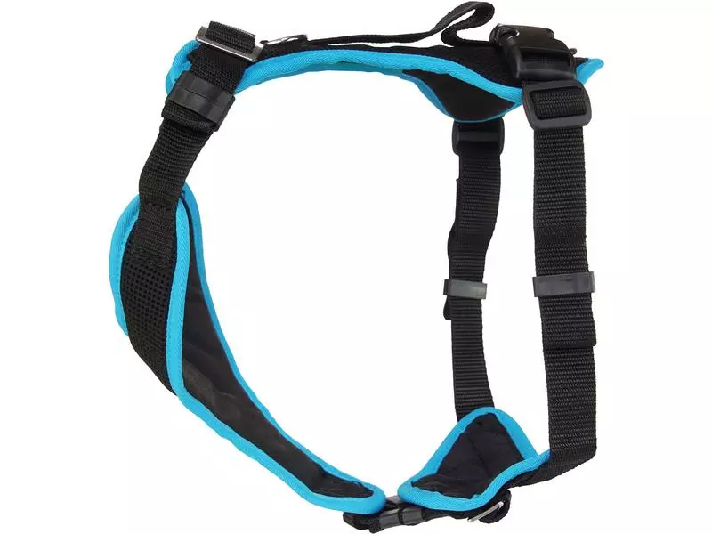 Grossenbacher Welpengeschirr Popp-it, Türkis 1 Grossenbacher Welpengeschirr Popp-it, Türkis