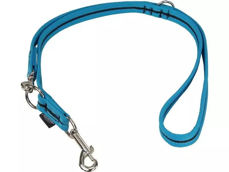 Grossenbacher Hundeleine 180 cm, 15 mm, Schwarz/Türkis 1 Grossenbacher Hundeleine 180 cm, 15 mm, Schwarz/Türkis