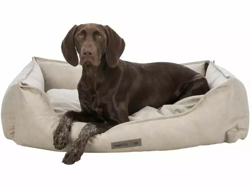 Trixie Hunde-Bett Vital Calito 100 x 75 cm 6 Trixie Hunde-Bett Vital Calito 100 x 75 cm - Image 6
