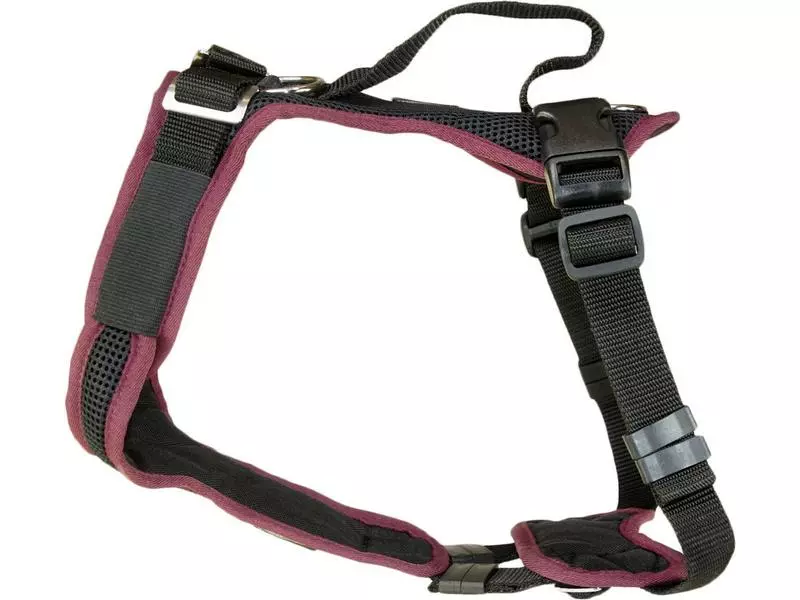 Grossenbacher Geschirr Vary, Bordeaux 1 Grossenbacher Geschirr Vary, Bordeaux