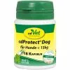 CdVet Hunde-Nahrungsergänzung cdProtect Dog, < 15 kg, 18 Kapseln