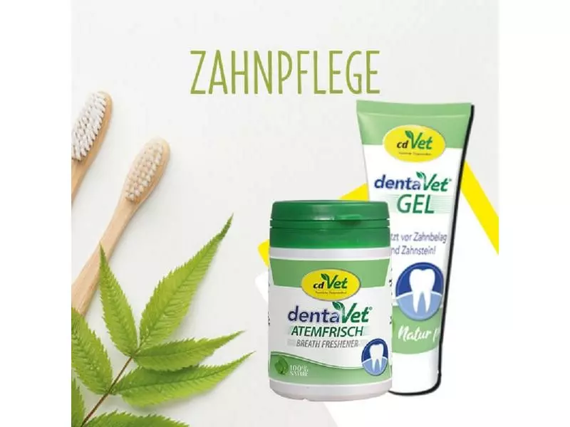 CdVet Zahnreinigung dentaVet Gel, 25 ml 3 CdVet Zahnreinigung dentaVet Gel, 25 ml - Image 3