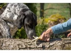 Beeztees Kausnack Hühnerfüsse geröstet, 200 g 7 Beeztees Kausnack Hühnerfüsse geröstet, 200 g -Hundewelt Verkäufe 218326269 xxl