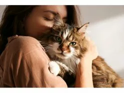 Anima Strath Hunde-Nahrungsergänzung Aufbaumittel Granulat, 100g 8 Anima Strath Hunde-Nahrungsergänzung Aufbaumittel Granulat, 100g -Hundewelt Verkäufe 219070744 xxl 2