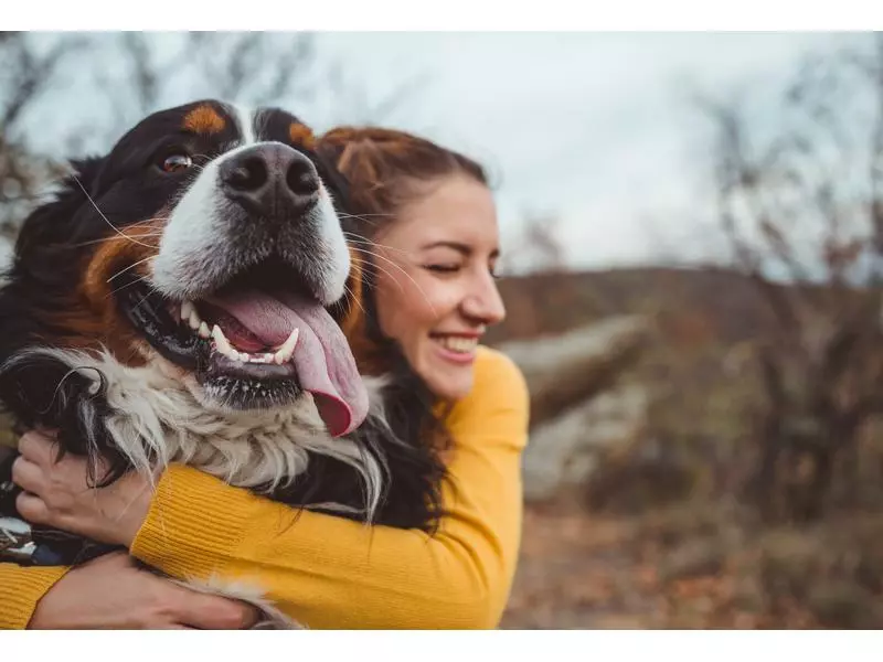 Anima Strath Hunde-Nahrungsergänzung Aufbaumittel Granulat, 100g 5 Anima Strath Hunde-Nahrungsergänzung Aufbaumittel Granulat, 100g - Image 5