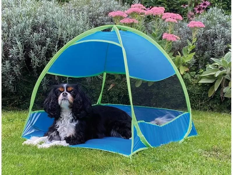 Nobby Hundezelt 2 Nobby Hundezelt - Image 2