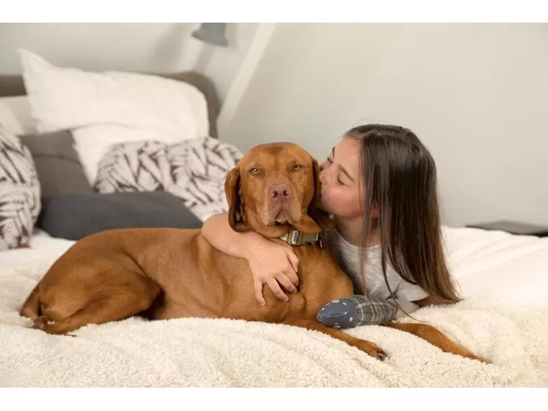 Designed by Lotte Hunde-Decke Wush, 150 × 125 cm 3 Designed by Lotte Hunde-Decke Wush, 150 × 125 cm - Image 3