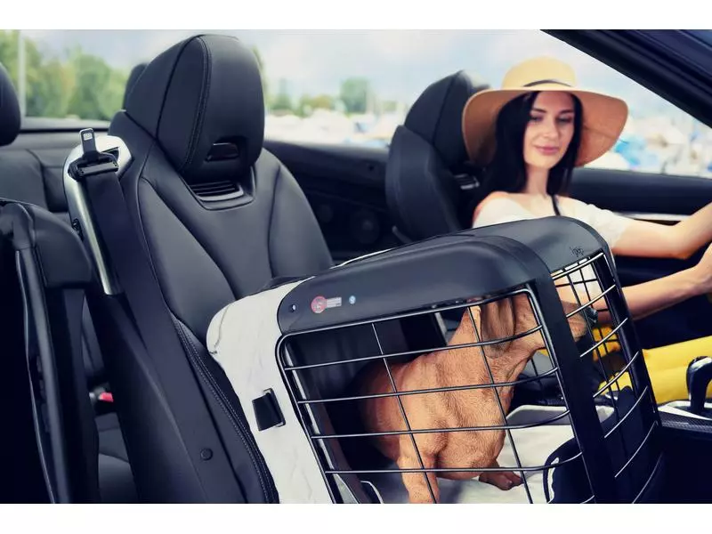 4pets Transportbox Caree Black Series 3 4pets Transportbox Caree Black Series - Image 3