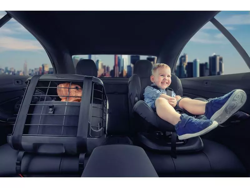 4pets Transportbox Caree Black Series 5 4pets Transportbox Caree Black Series - Image 5