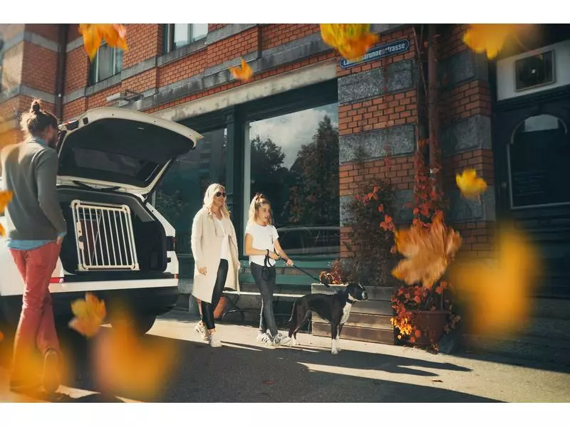 4pets Transportbox ECO 2 Medium 4 4pets Transportbox ECO 2 Medium - Image 4