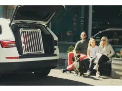 4pets Transportbox ECO 3 Medium 9 4pets Transportbox ECO 3 Medium -Hundewelt Verkäufe 220244737 xxl 1