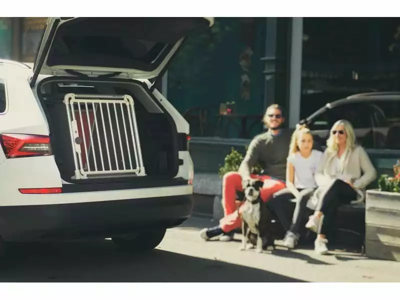 4pets Transportbox ECO 3 Small 5 4pets Transportbox ECO 3 Small - Image 5