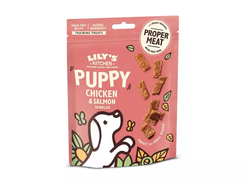 Lily's Kitchen Snack Puppy Huhn & Lachs, 70 g 1 Lily's Kitchen Snack Puppy Huhn & Lachs, 70 g